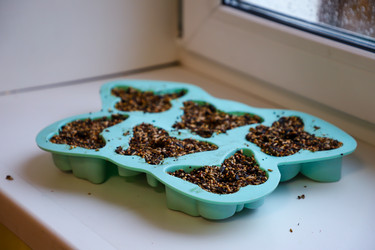 Similar image 22006618