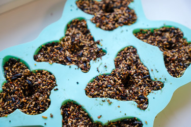 Similar image 22006619