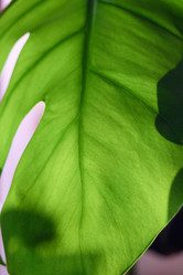 Similar image 22013770