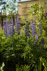 Similar image 22013824