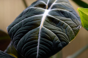 Similar image 22013829