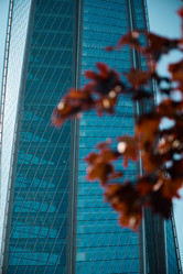 Similar image 22013874