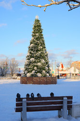 Similar image 22013876