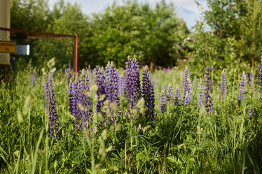 Similar image 22013883