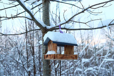 Similar image 22013908