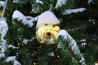 Similar image 22013909