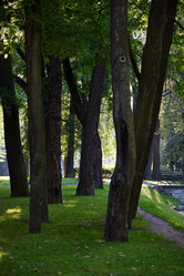 Similar image 22013910