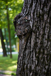 Similar image 22013912