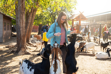 Similar image 22016881