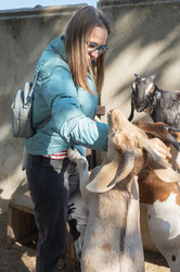 Similar image 22016883