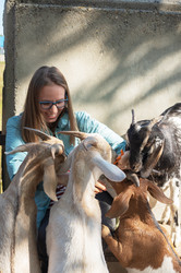 Similar image 22016884