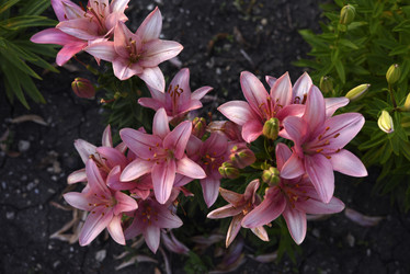 Similar image 22007246