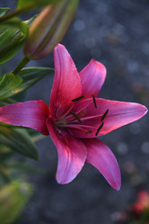 Similar image 22007249