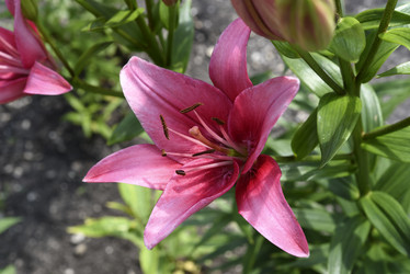 Similar image 22007252