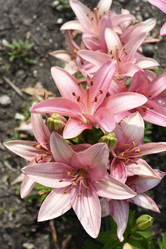 Similar image 22007255