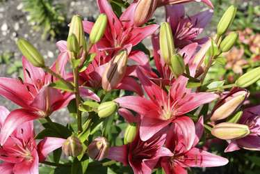 Similar image 22007260