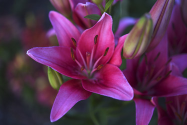 Similar image 22007264