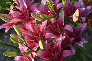 Similar image 22007444