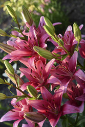 Similar image 22007445