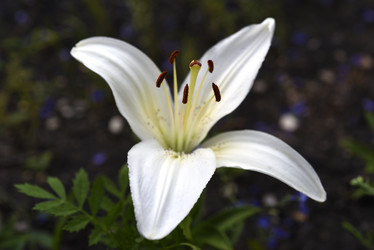 Similar image 22007446