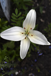 Similar image 22007447