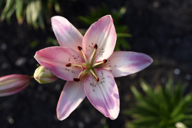 Similar image 22007449