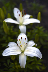 Similar image 22007450