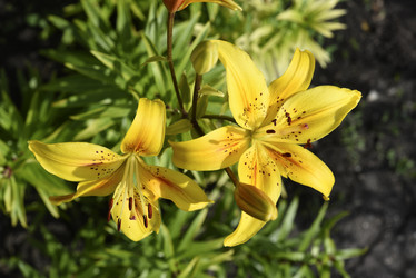 Similar image 22007452