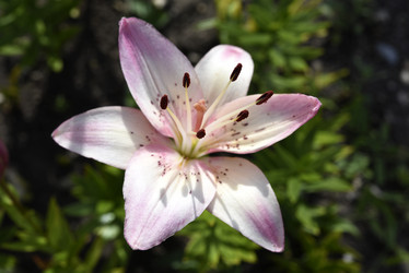 Similar image 22007453