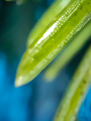 Similar image 22006788