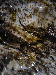 Similar image 22006790