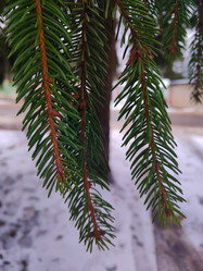 Similar image 22006791