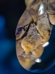 Similar image 22006792