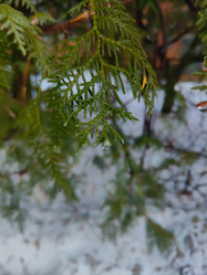 Similar image 22006794