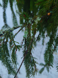 Similar image 22006795