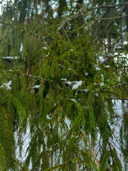 Similar image 22006797