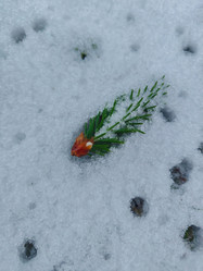 Similar image 22006798