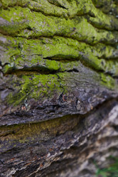 Similar image 22013838