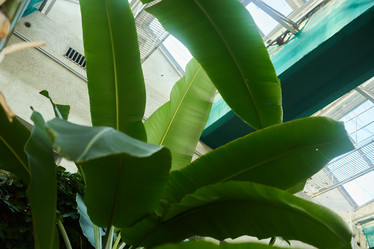 Similar image 22013926