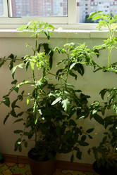 Similar image 22013928