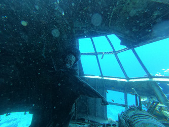 Similar image 22013981