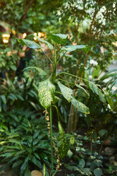 Similar image 22014037