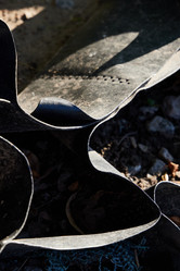 Similar image 22014038