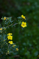 Similar image 22014044