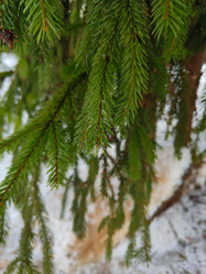 Similar image 22006799