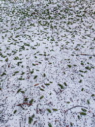 Similar image 22006800