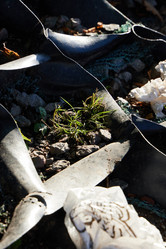 Similar image 22013899