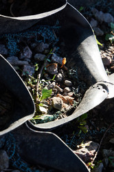 Similar image 22013900