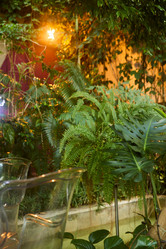 Similar image 22013901