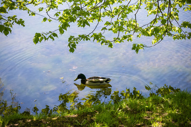 Similar image 22006629